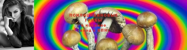 бошки Алексин