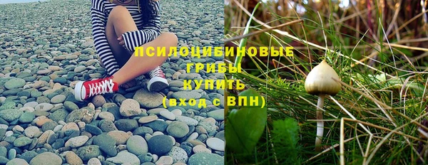 бошки Алексин
