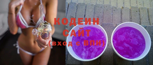 молекула духа Покров