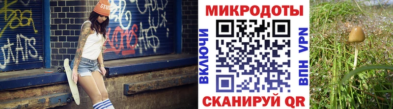 Псилоцибиновые грибы ЛСД  купить   Омутнинск 